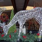 lighted reindeer with crystals